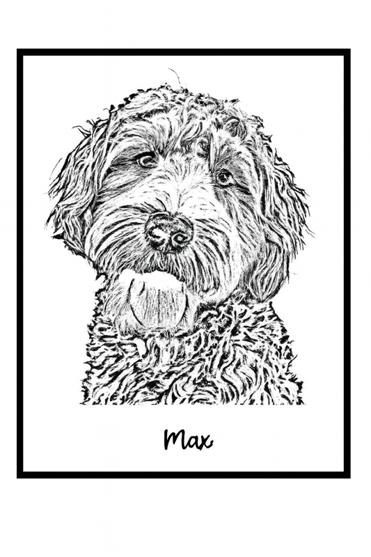 Cadre 30x40cm dessin